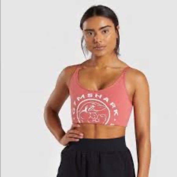 RARE Gymshark OG Legacy Sports Bra in Brick Red - Picture 1 of 4